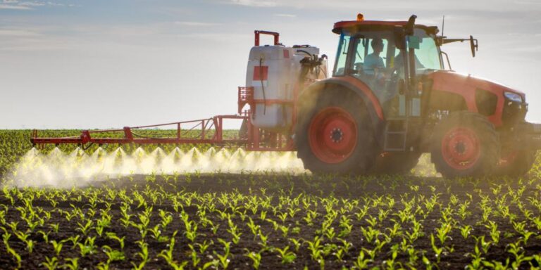 Agro e política sergipana: quando a regulação passa a travar a produção