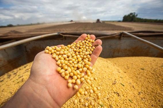 O agro brasileiro sob cerco: produção, pressão externa e soberania econômica