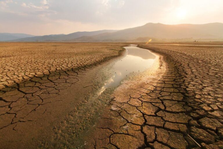 Sergipe e o campo: o pequeno produtor entre promessas e abandono